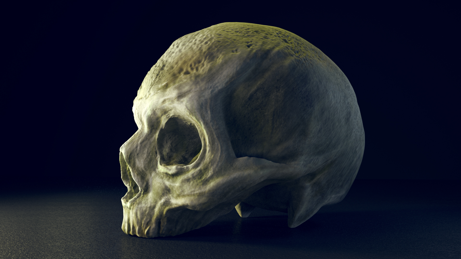 3D-practice-2-skull-2