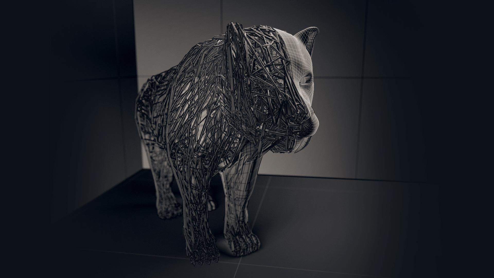 3D Visual Design_P2_Tiger_wireframe